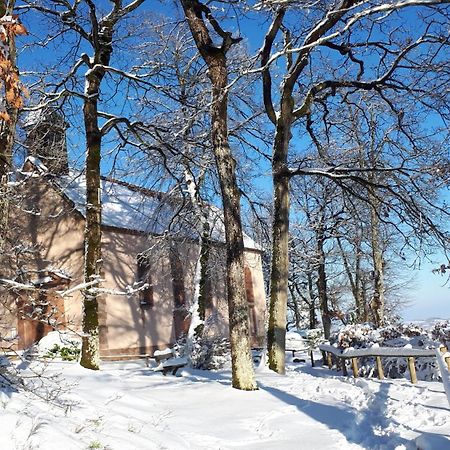 Gite "Le Platane" 45 M2 - Climatise Monswiller Kültér fotó