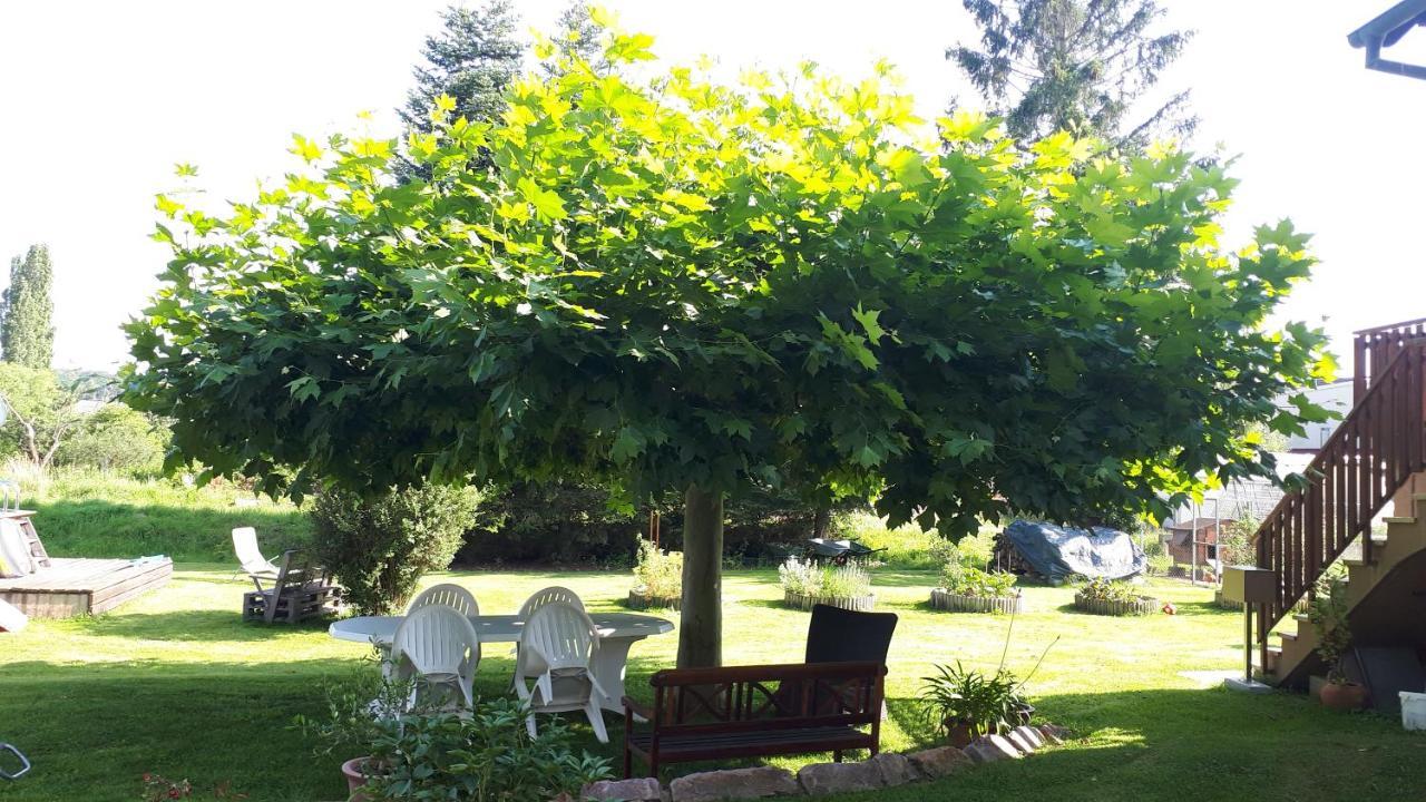 Gite "Le Platane" 45 M2 - Climatise Monswiller Kültér fotó