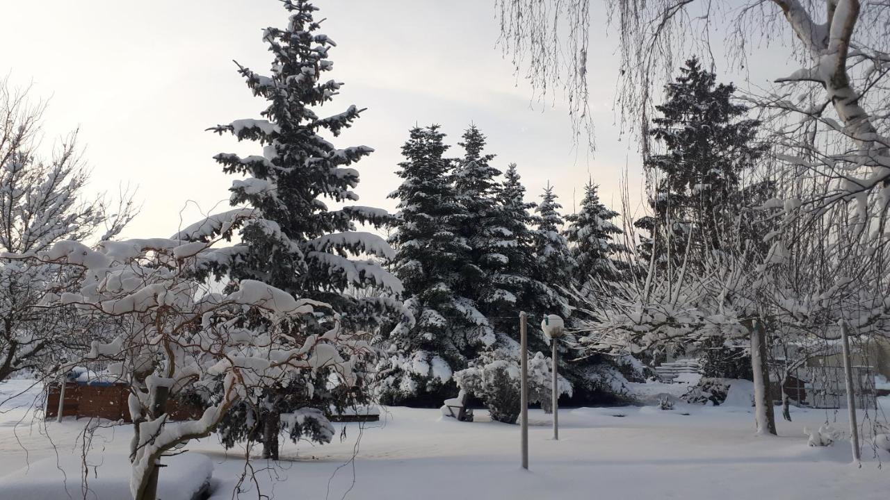Gite "Le Platane" 45 M2 - Climatise Monswiller Kültér fotó