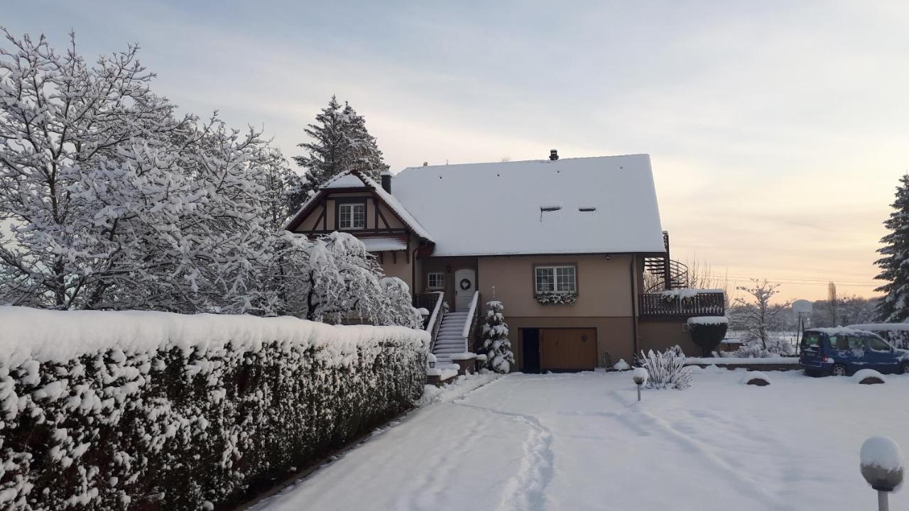 Gite "Le Platane" 45 M2 - Climatise Monswiller Kültér fotó