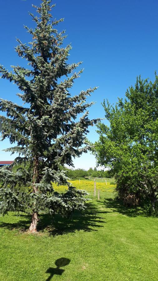Gite "Le Platane" 45 M2 - Climatise Monswiller Kültér fotó